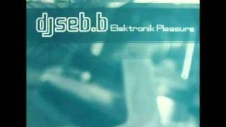 DJ Seb B - Elektronik Pleasure OFFICIAL CONTENT