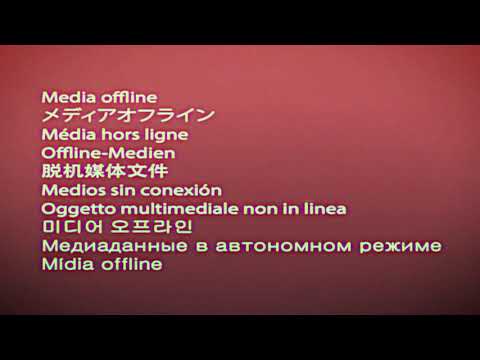 kővári x ercsé x YaBalka - Pack