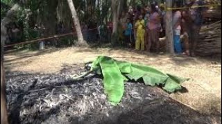 Download lagu Pelaku Pembakaran Wanita di Pondok Nongko Banyuwangi mp3