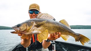 We found some good ones! (Ontario Walleye)