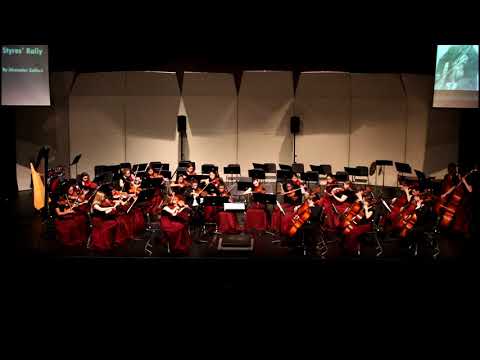 2017-02-21 Chamber Orchestra  - Styres Rally
