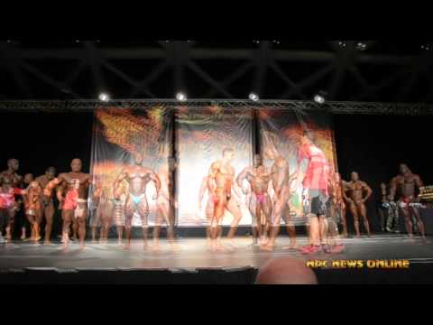 2015 IFBB Puerto Rico Pro – 212 Class Prejudging