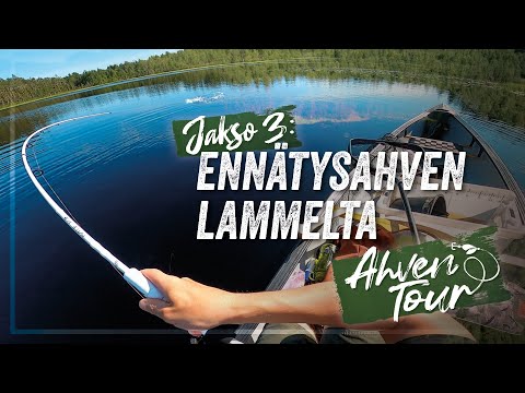 ISO AHVEN METSÄLAMMELTA – Kesäistä kanoottikalastusta | AhvenTour'21 jakso 3