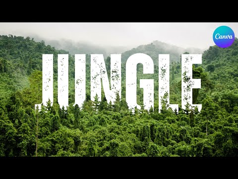 20 canva typography hacks and tricks tutorial