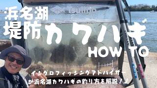 浜名湖堤防カワハギに挑戦！イシグロフィッシングアドバイザーが釣り方とおすすめTsulino商品を紹介します。