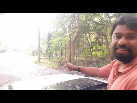 Emerging from the sunroof of my BMW X3