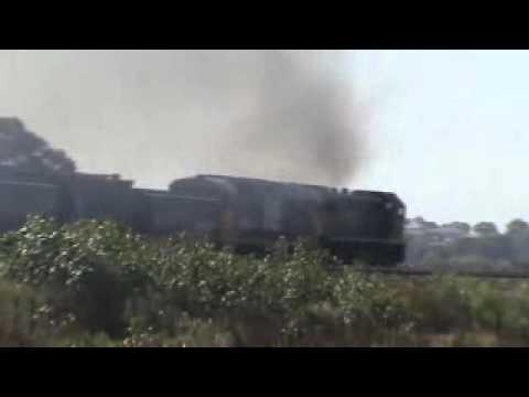 X CLASS+81 CLASS ON GRAIN