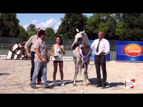 3rd place N.44 VALMIR MAL - Festival FVG 2015 - Senior Males Championship (Class 18)