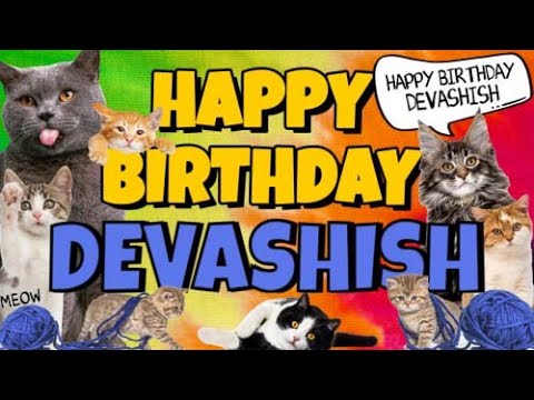Happy Birthday Devashish! Crazy Cats Say Happy Birthday Devashish (Very Funny)