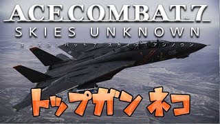 ライブ【エスコン７】エースネコパイロット