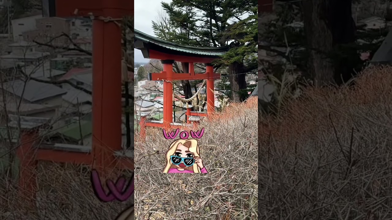 Town view from Arakuyama Sengen Park in Yamanashi Prefecture #shortsfeed #trending #shorts #park