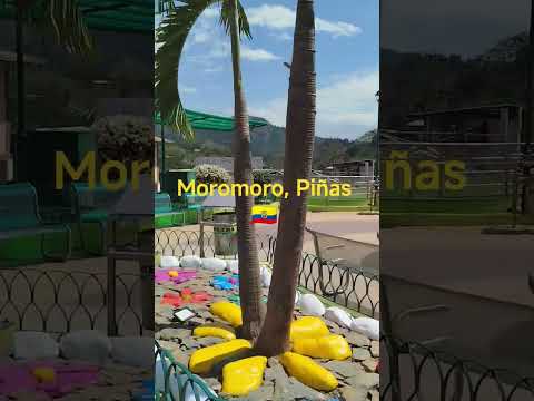 Moromoro, Piñas, El Oro 🇪🇨