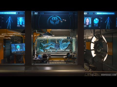 Avatar Flight of Passage queue details