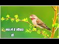 Marwadi Bhajan 30 Second Marwadi Song Marwadi WhatsApp Status Marwadi 4k Status Majisa Rajasthani