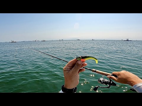 Reef Jigging For Whatever Bites! (Parking Lot Limit)
