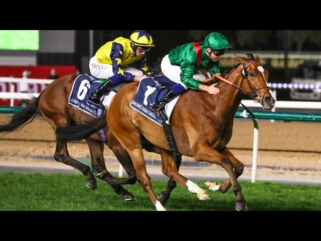 Thumbnail for Post ID: vvFcdNrys2Y