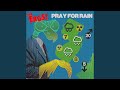 Pray For Rain (20th Anniversary Steve Albini Remix)
