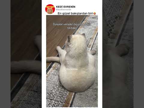 En güzel bakışlardan biri😂