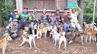 Download lagu BERBURU HAMA BABI HUTAN  KE PUNCAK GUNUNG MALABAR DAPAT 1 POINT BABI ‼️ mp3