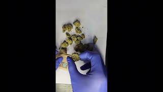 QWest grape cream cake T24 review