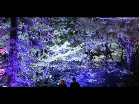 Psychedelic Forest Disco 2012 - 12th May @ Kelburn Castle