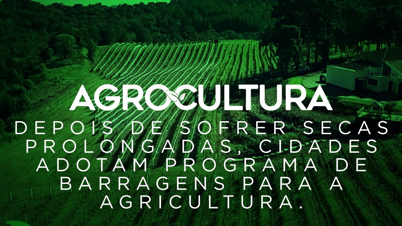 O mundo dos vinhos nobres e requintados chega à região metropolitana de Curitiba.
