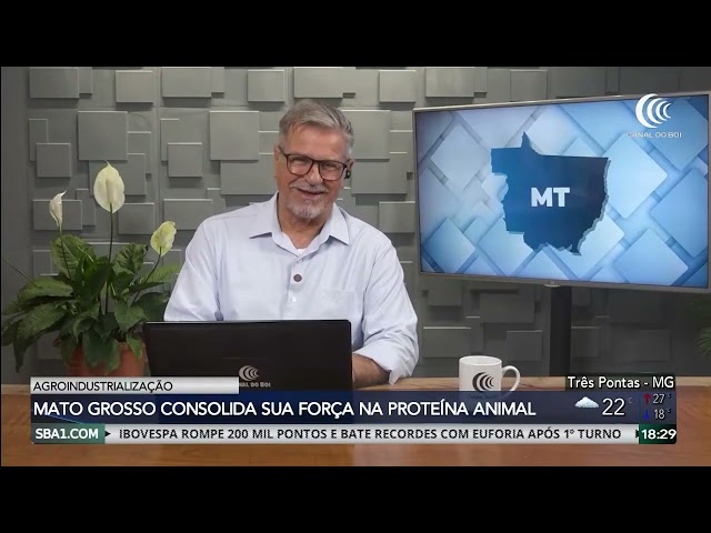 MATO GROSSO CONSOLIDA SUA FORÇA NA PROTEÍNA ANIMAL