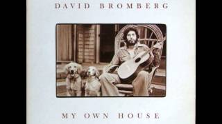 David Bromberg - Spanish Johnny