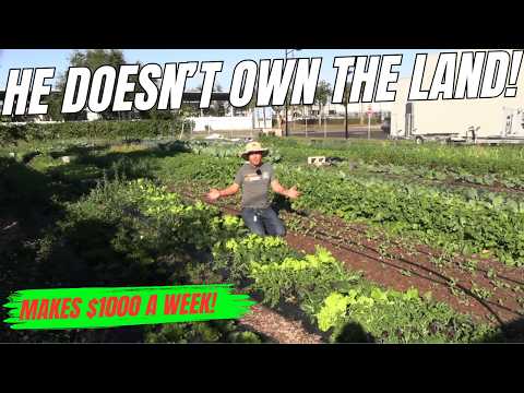 One Man Makes $1,000 a Week Urban Farming on 1/4 Acre He Doesn’t Own