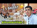 BAKRA EID VLOG 2023 QURBANI VLOG GOT EMOTIONAL Ibrahim Asim Bakray Qurban Krdiye Alhumdulillah
