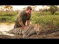 A Man Saves A Drowning Leopard What Happens Next Is Terrifying