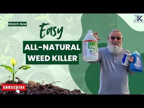 DIY Weed Killer with Vinegar, Salt & Soap – Easy & Effective!