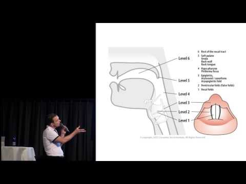 An analysis of rough vocal effects & How to teach them