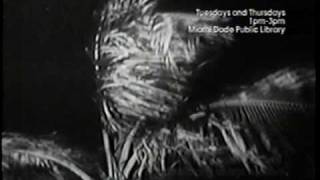 Hurricane Cleo 1964 WCKT Part 1