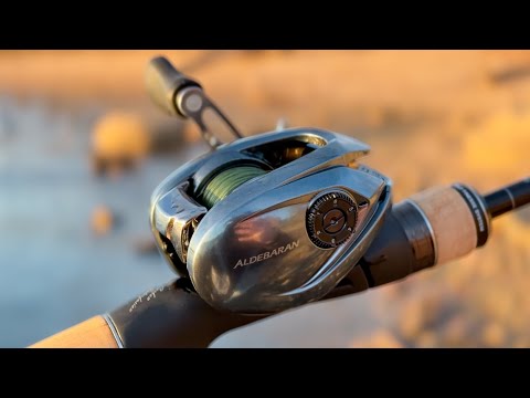 The HOLY GRAIL OF BFS! Shimano Aldabaren BFS 2022 & Expride Review!