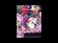 Gwendolyn S HUGE Abby Cadabby Surprise GwendolynStrong Com