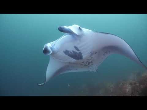 French Polynesia 2020, Marquesas Islands 4K UHD
