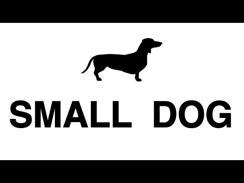 A SMALL DOG Video