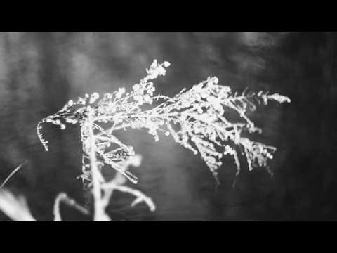 THE TRAIL OFFICIAL TEASER