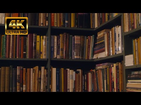Books Shelves Library Reading by Continuous  4K | no copyright stock video footage