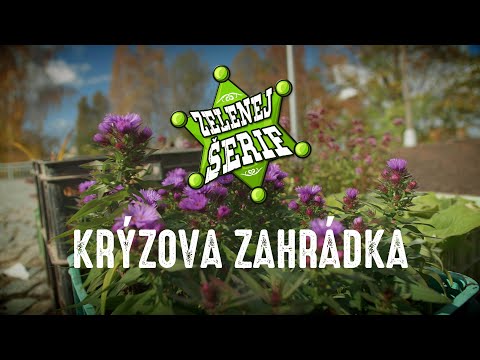 Josef Filip - Krýzova zahrádka