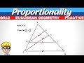 Grade 12 Proportionality Theorem 6