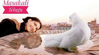 Masakali Song Telugu | Manohari Manohari | Delhi 6 Telugu Dubbed Movie