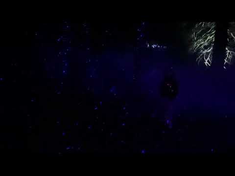 ALTA LUMINA LES GETS 2020