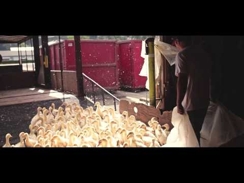 Fraser Valley Specialty Poultry