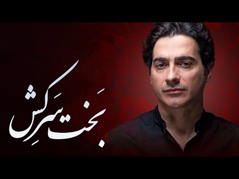 Homayoun Shajarian - Bakhte Sarkesh | همایون شجریان - بخت سرکش