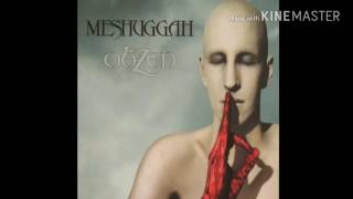 Meshuggah - Pineal Gland Optics
