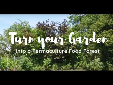 , title : 'Turn your Garden into a permaculture food forest with fruit trees, perennial vegetables & berries'