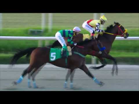 230401 c09 JOGO RAPIDO (BRZ)