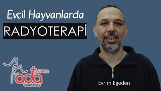 Evcil Hayvanlarda Radyoterapi - Veterinary Radiotherapy